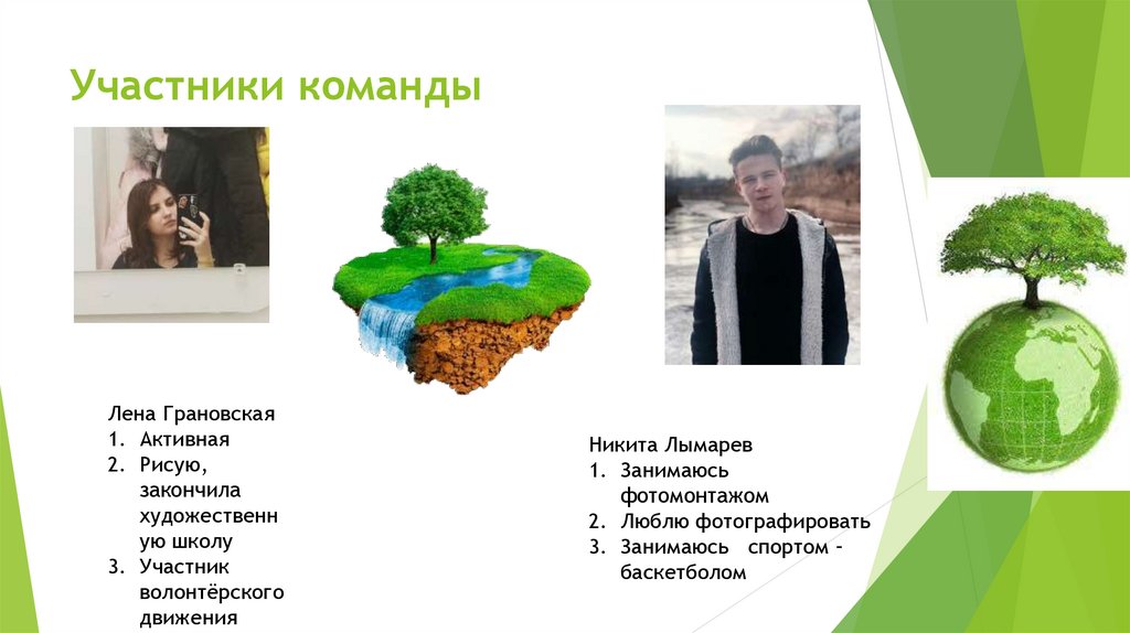 Участники команды