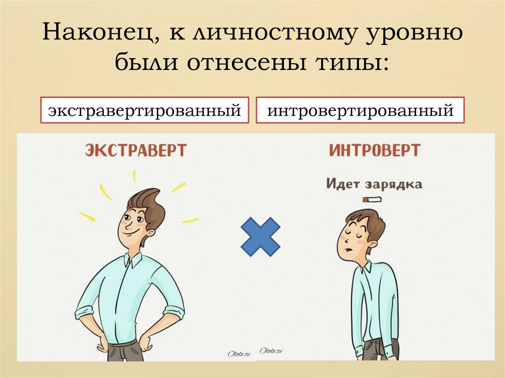 Человек относится к типу