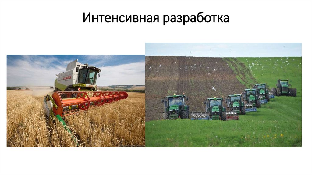 Сельскохозяйственные технологии 5 класс