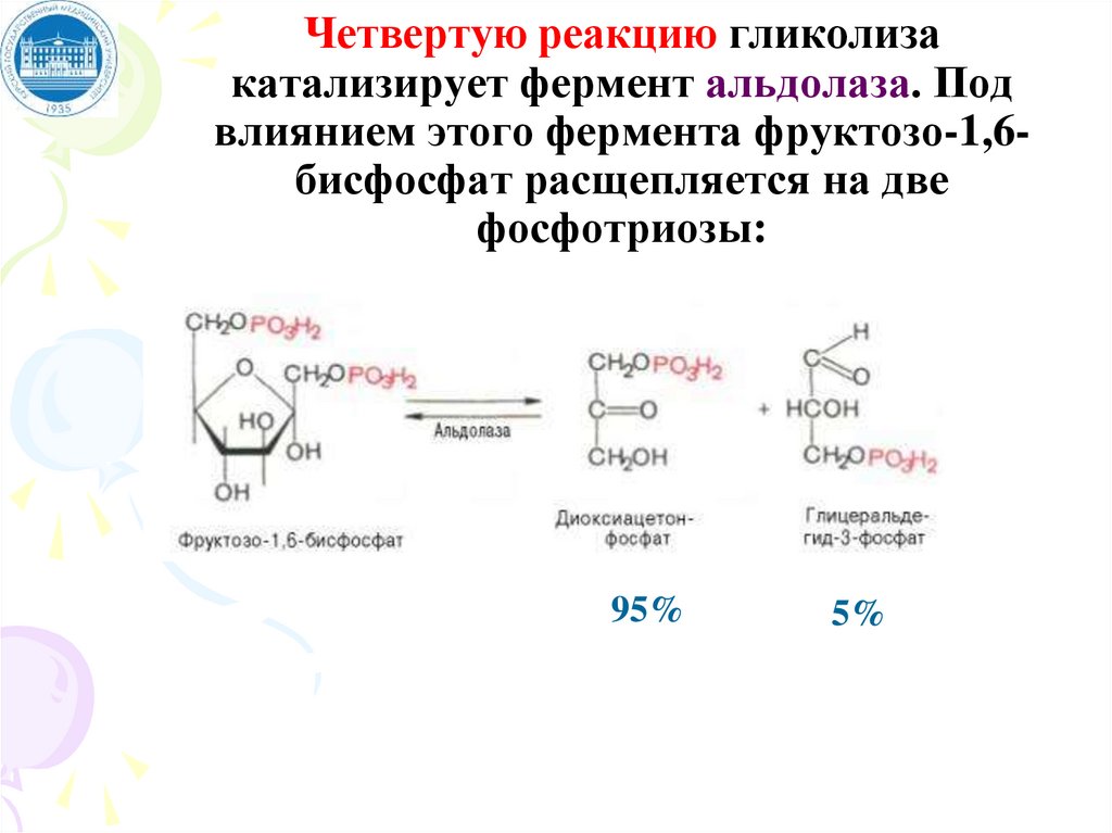 Гликолиз последовательность реакций. 5 Реакция гликолиза. Необратимые реакции гликолиза катализируют:. Суммарная формула гликолиза. Гликолиз уравнение реакции.