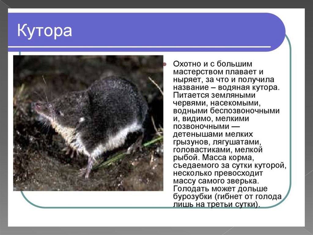 Башкирский государственный природный заповедник презентация