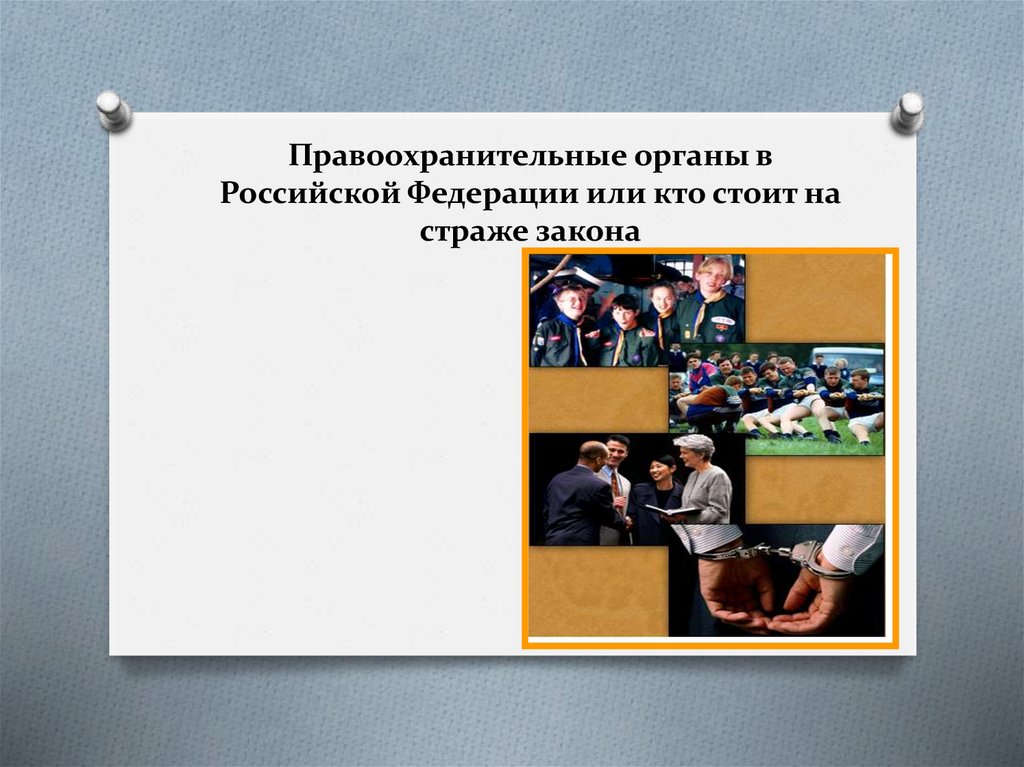 Функции правоохранительных органов российской федерации