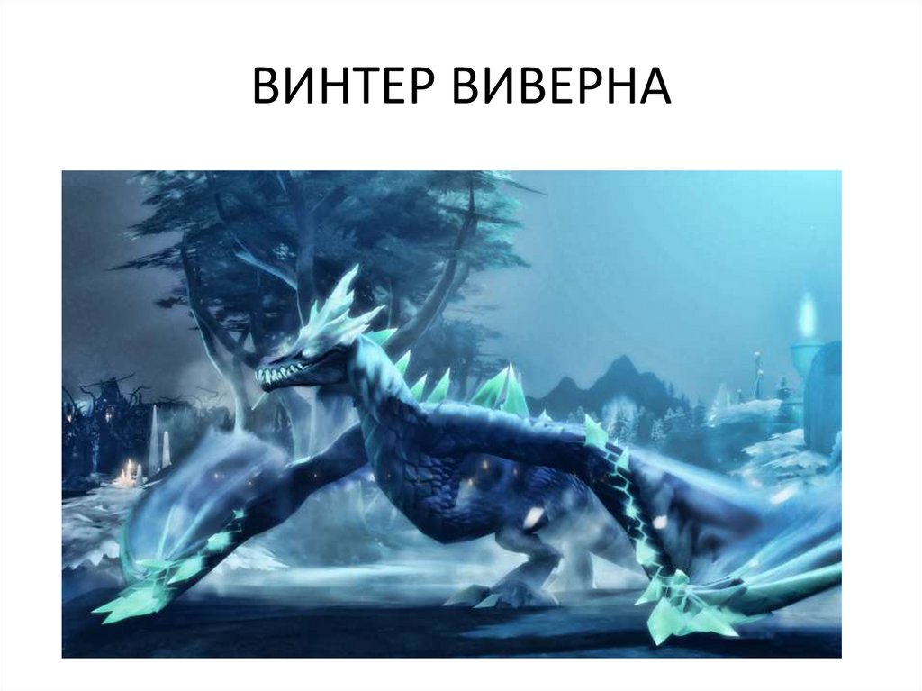 ВИНТЕР ВИВЕРНА