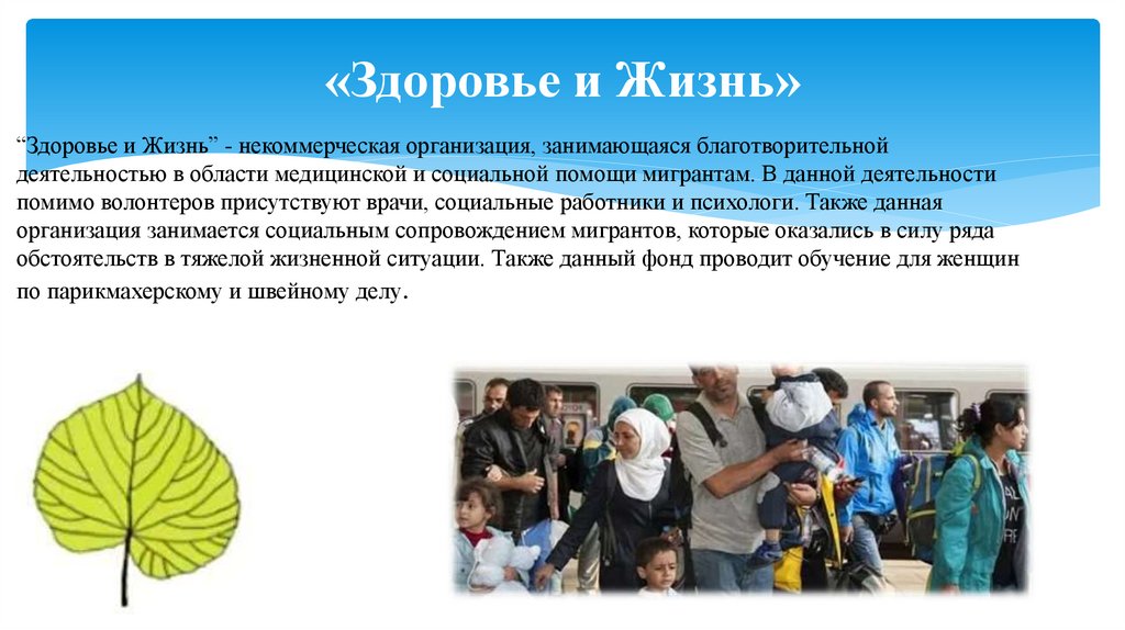 «Здоровье и Жизнь»