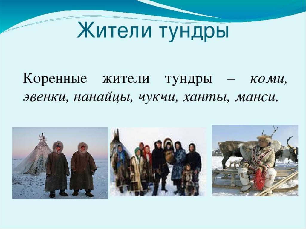 Народы тундры россии