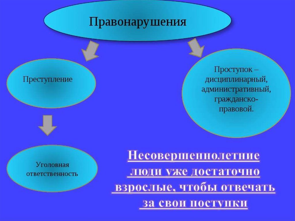 Классный час проступок правонарушение преступление 5 класс презентация