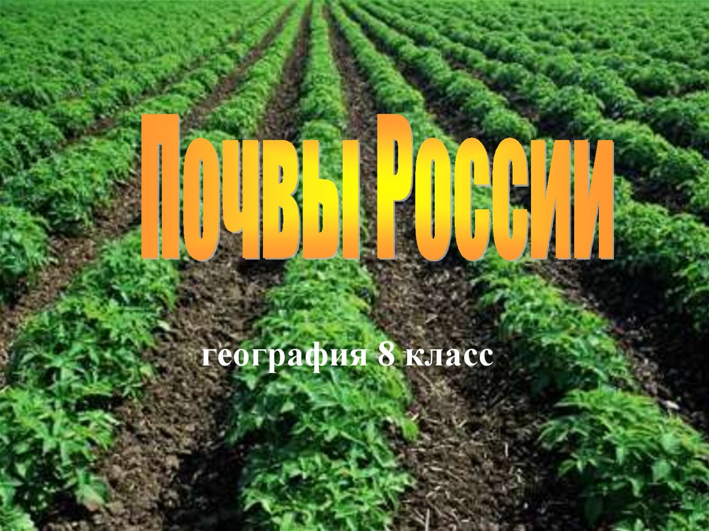 Презентация почвенные ресурсы россии 8 класс география