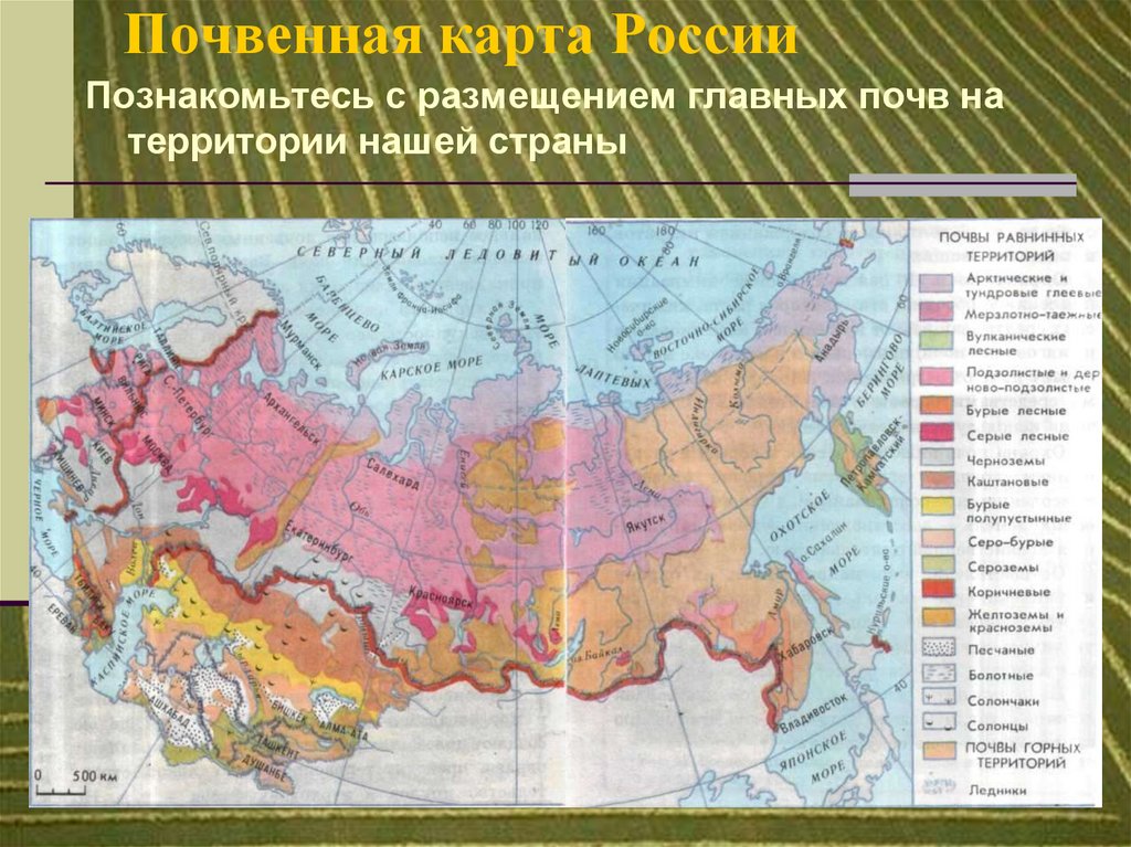 Карта типов почв россии