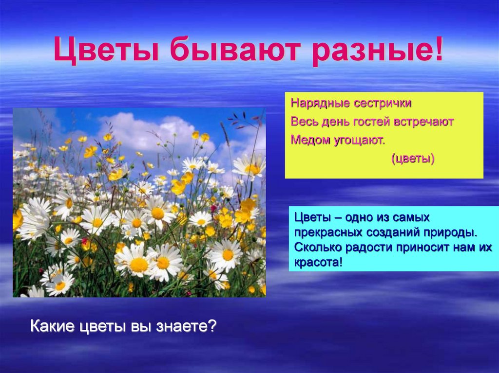 Цветок знаешь. Презентация цветов. Цветы бывают. Презентация мир цветов. Разные цветы для презентации.