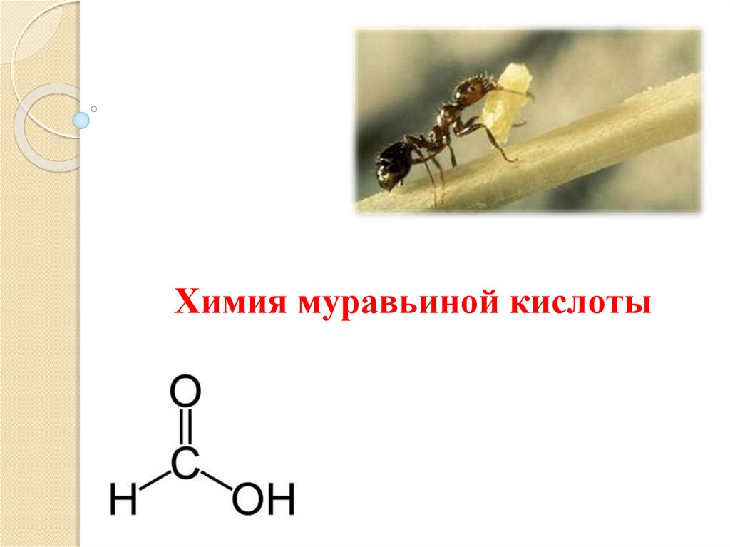 Муравьиная кислота содержится. Муравьиная кислота химия 10 класс. Муравьиная кислота химия. Формула муравьиной кислоты в химии. Муравьиная кислота формула.