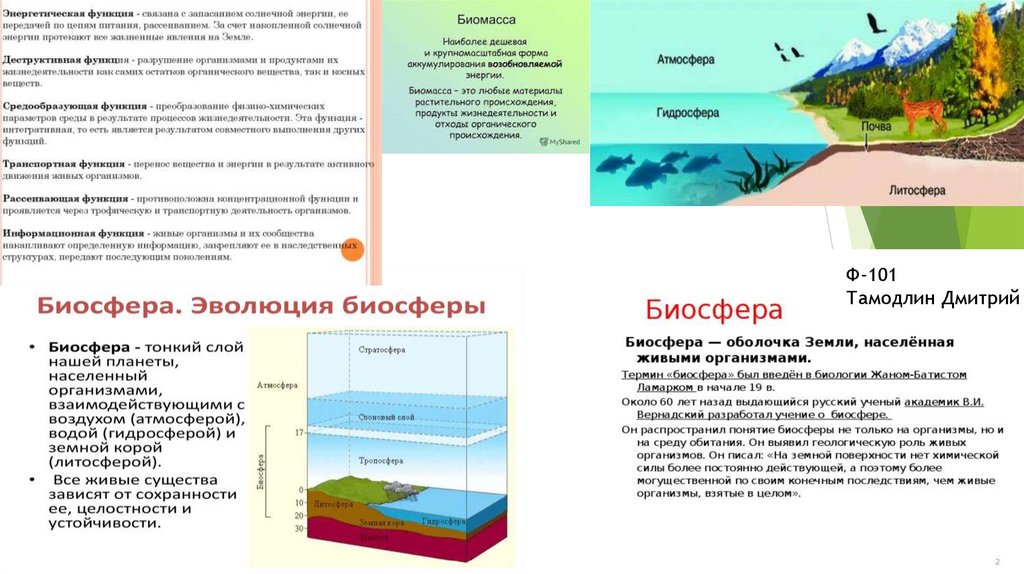Биосфера возникла раньше чем другие земные оболочки. Эволюция биосферы. Функции почвы в биосфере. Роль мирового океана в развитии биосферы земли. Человек функция биосферы.