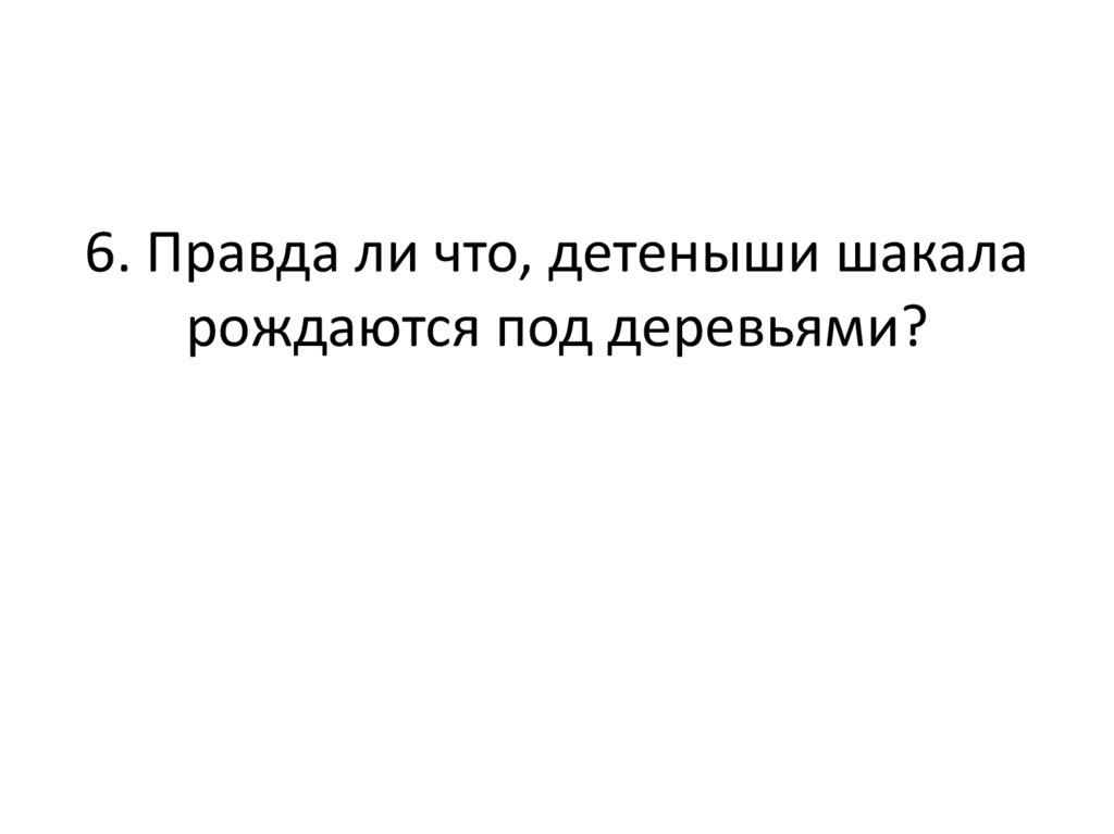 6. Правда ли что, детеныши шакала рождаются под деревьями?