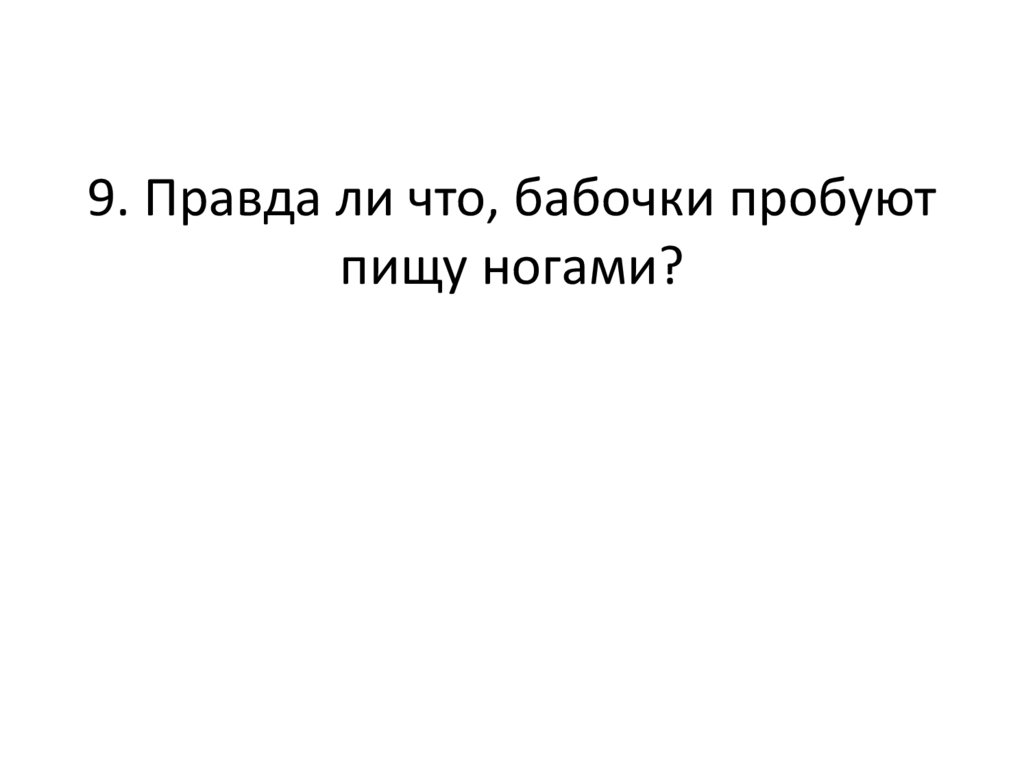 9. Правда ли что, бабочки пробуют пищу ногами?