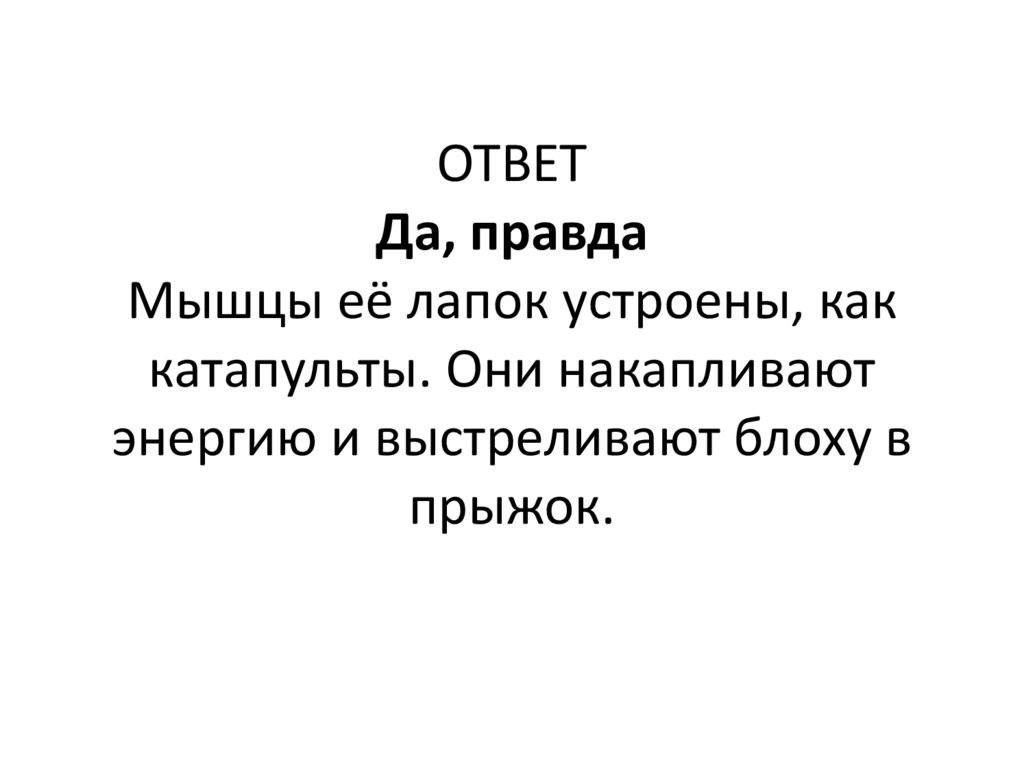 ОТВЕТ Да, правда Мышцы её лапок устроены, как катапульты. Они накапливают энергию и выстреливают блоху в прыжок.