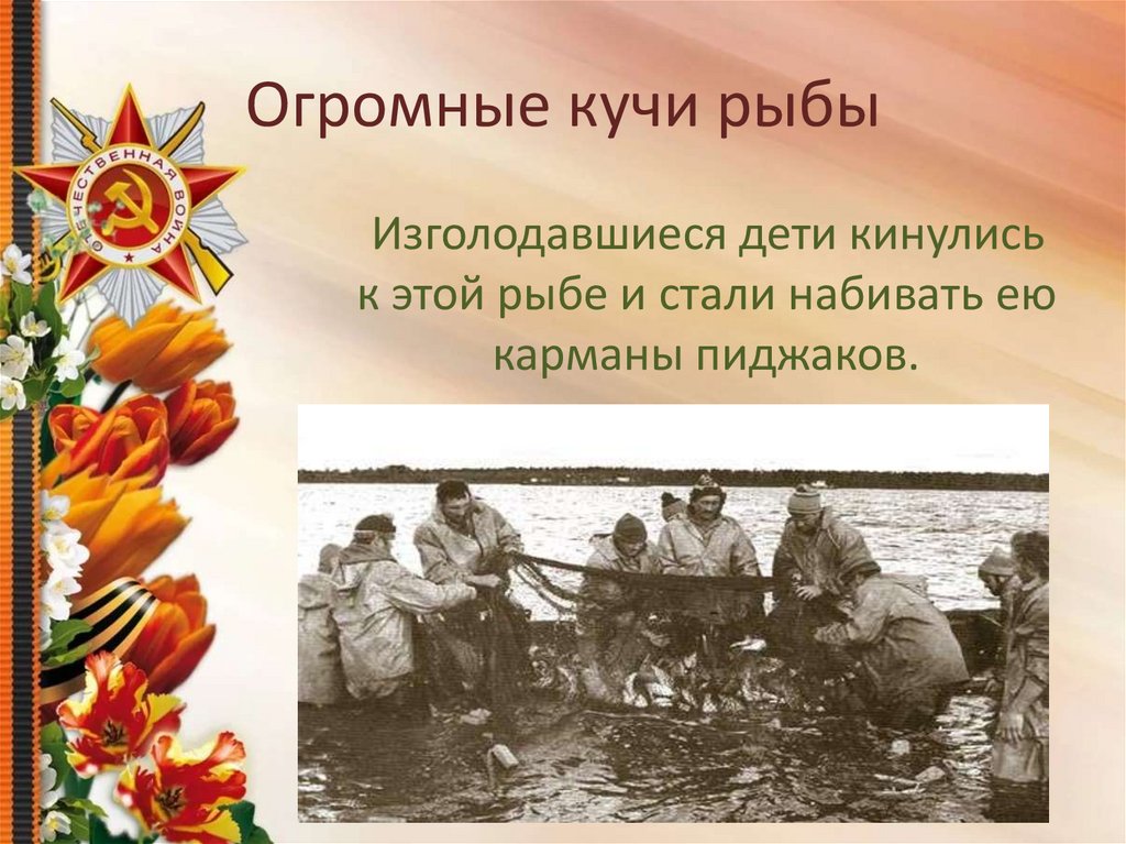 Огромные кучи рыбы