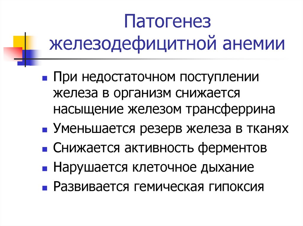 Схема патогенеза железодефицитной анемии