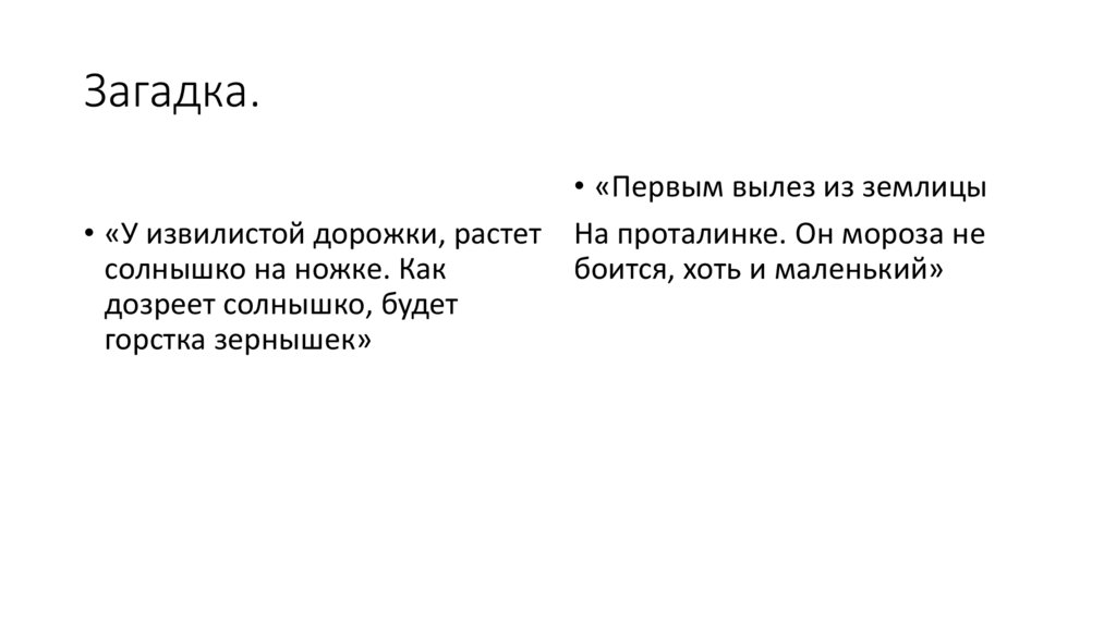 Загадка.