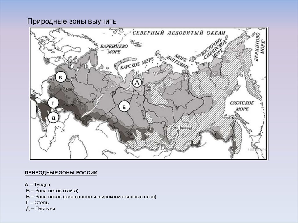 Материк впр 7 класс география. Карта природных зон России 4 класс ВПР.