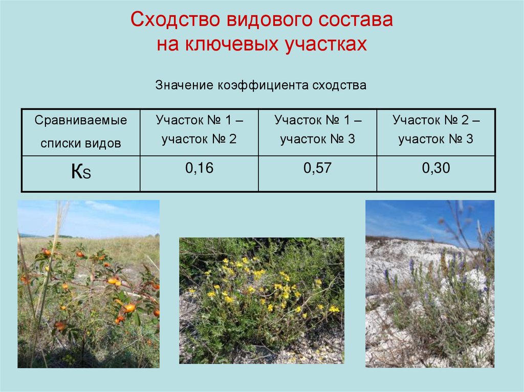 Участок значение. Таблица 4 видовой состав растений. Видовой состав поля. Видовой состав примеры. Показатель сходства видового состава.