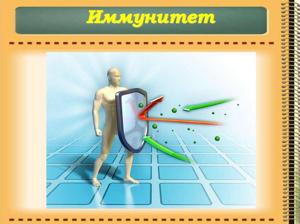 Презентация на тему иммунитет человека