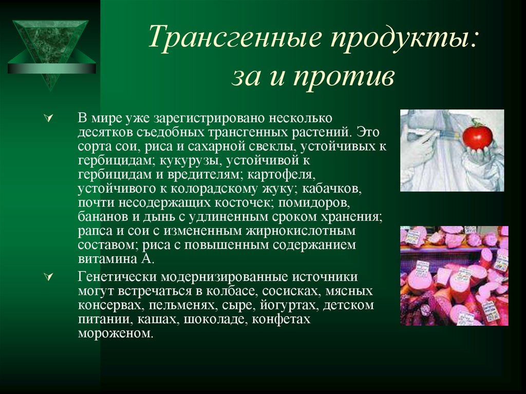 Презентация трансгенные продукты