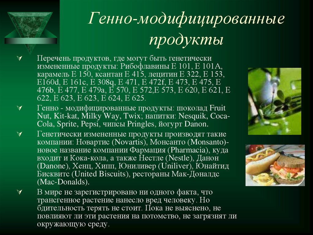 Проект генно модифицированные продукты