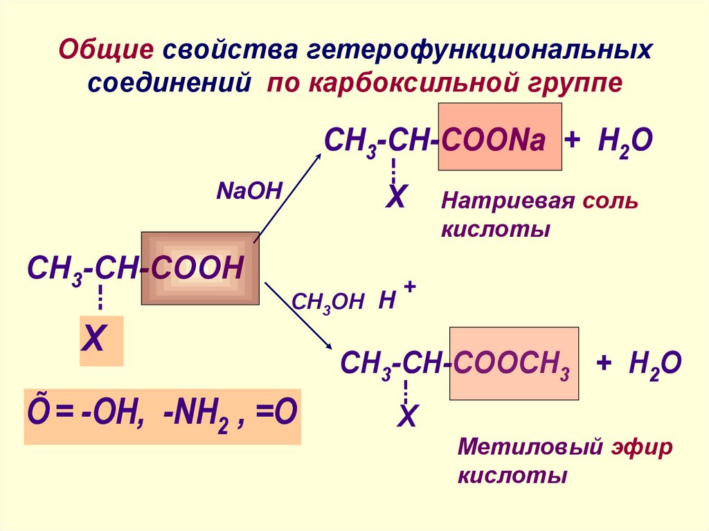 Гетерофункциональные кислоты презентация