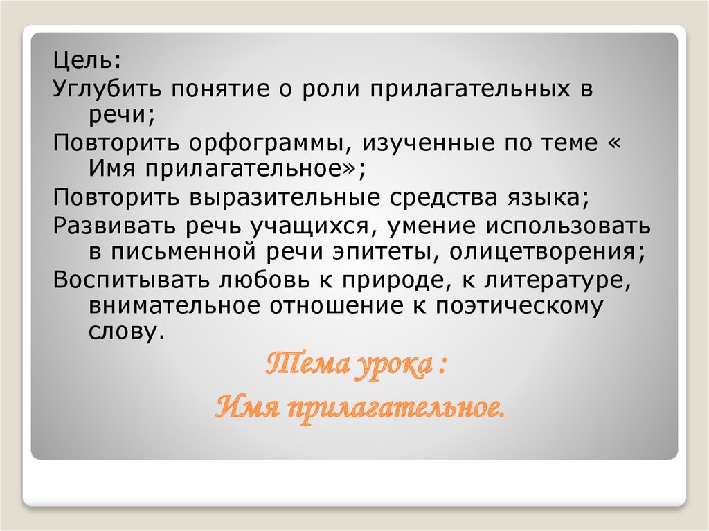 Презентация не с прилагательными 6 класс фгос по ладыженской