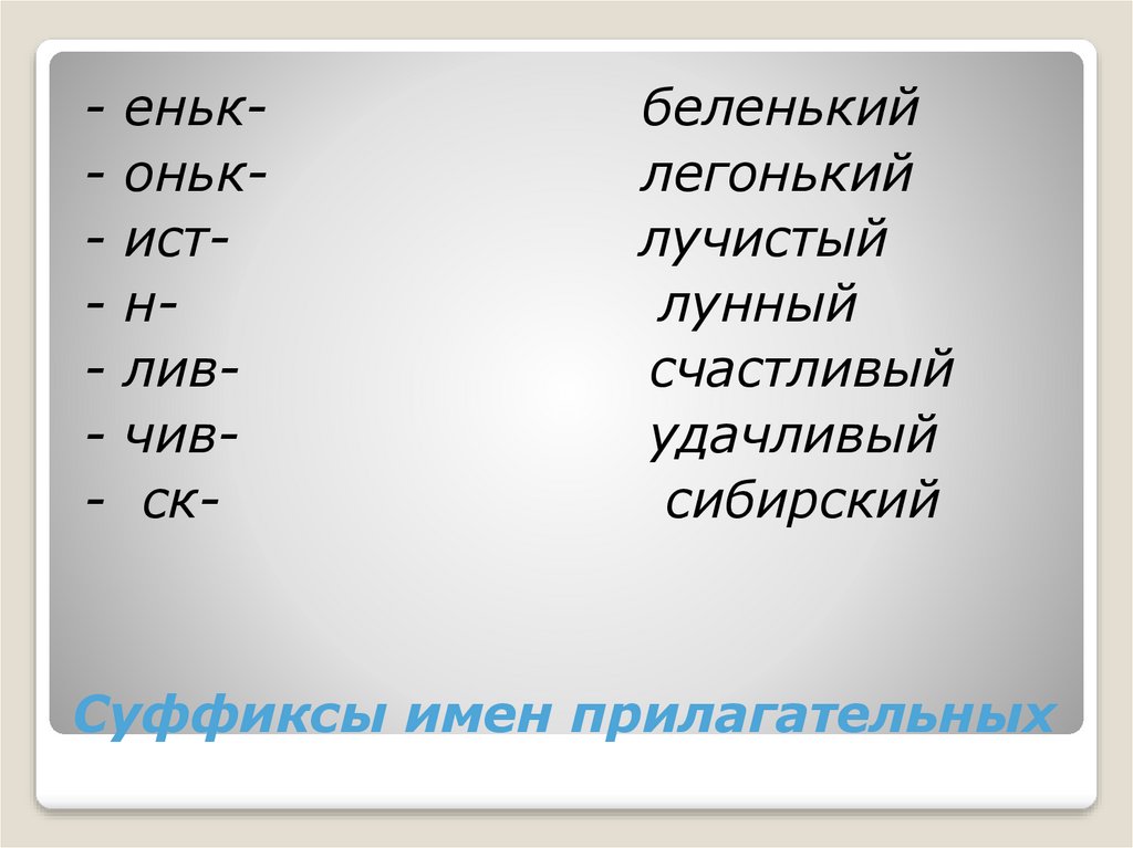 Презентация не с прилагательными 6 класс фгос по ладыженской