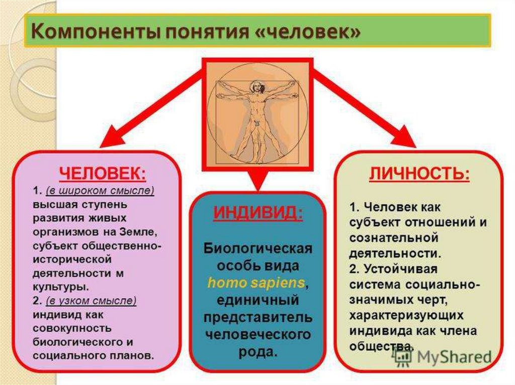 Индивидуальность личность сущность. Понятие человек индивид личность. Взаимосвязь понятий человек индивид личность индивидуальность. Раскройте понятие индивид индивидуальность личность. Человек индивид чилночть.