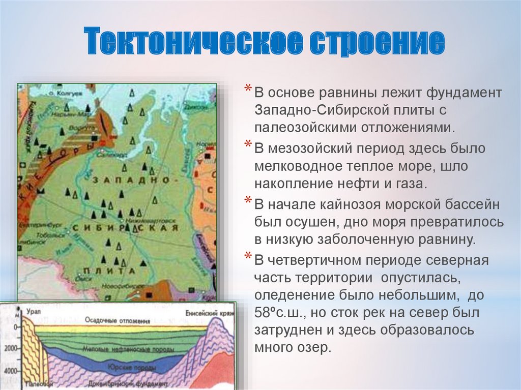 Размеры западно сибирской равнины. Границы Западно сибирской равнины. Основа Западно сибирской равнины. Западно-Сибирская равнина презентация. Визитная карточка Западно сибирской равнины.