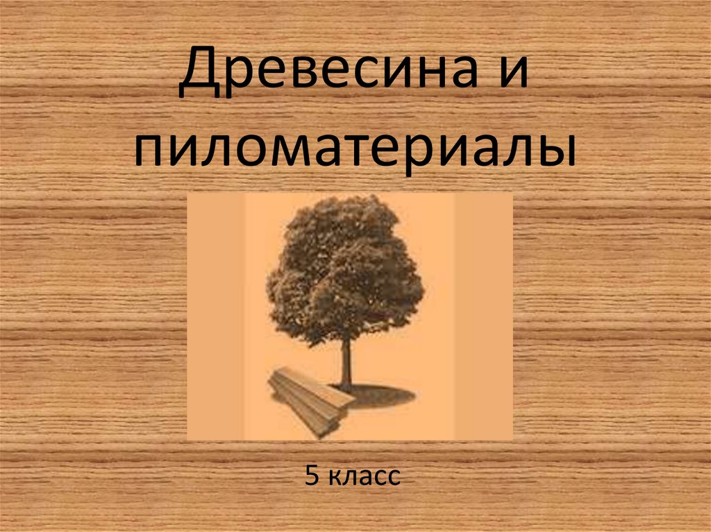 Проект по технологии 5 класс на тему древесина