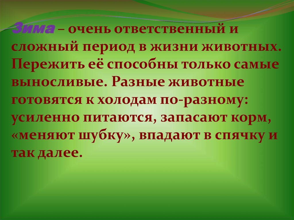 Зима – очень ответственный и сложный период в жизни животных. Пережить её способны только самые выносливые. Разные животные