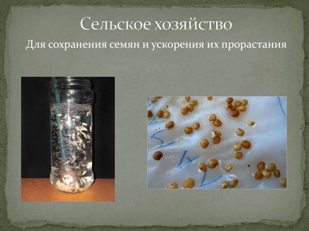 Сельское хозяйство