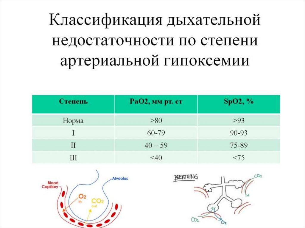 Органы дыхания классификация