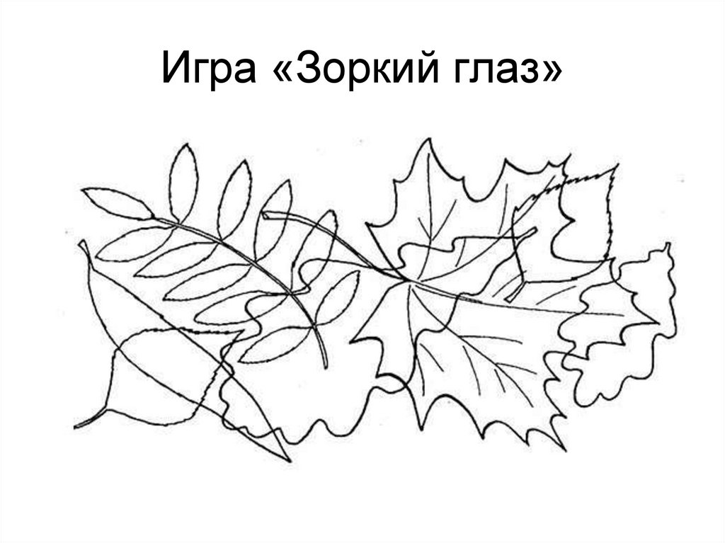 Игра «Зоркий глаз»