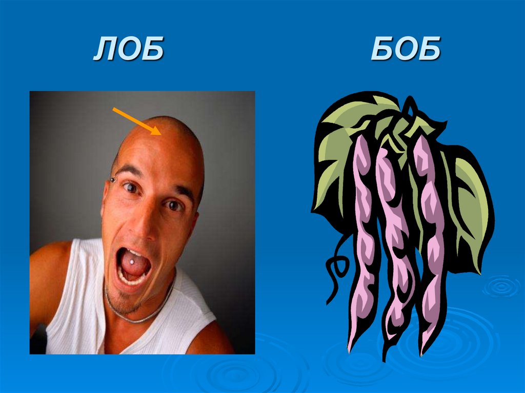 ЛОБ БОБ