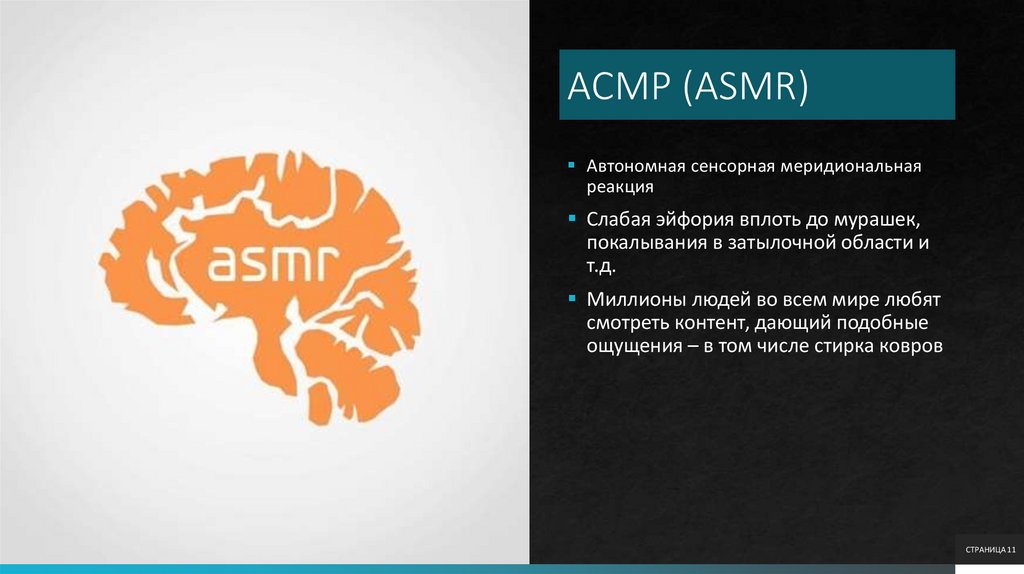 АСМР (ASMR)