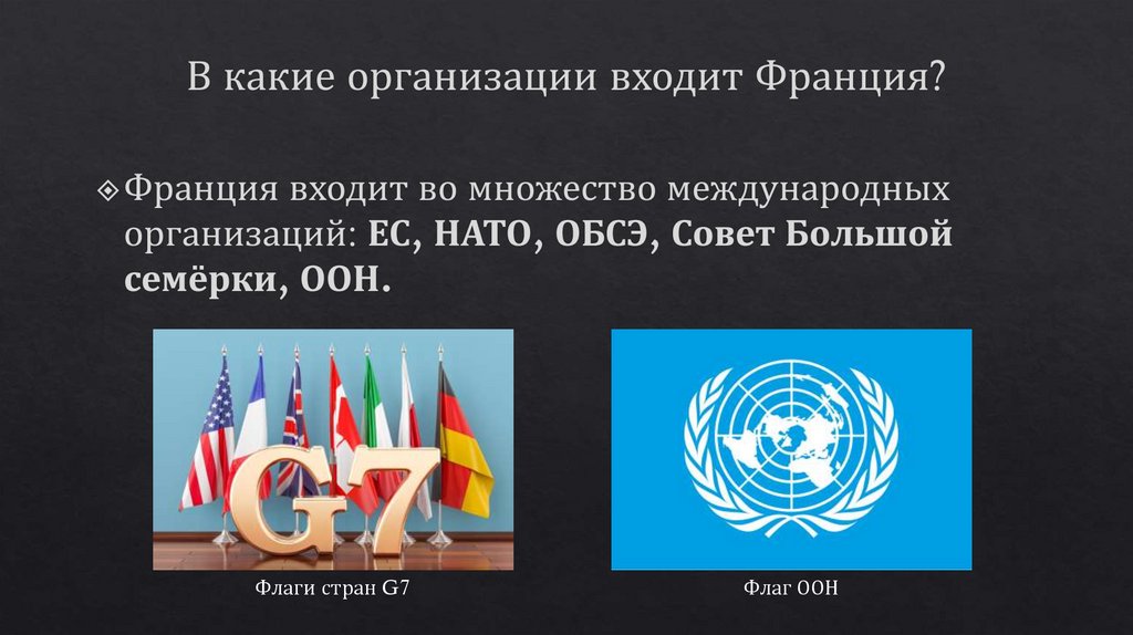 В какие организации входит Франция?