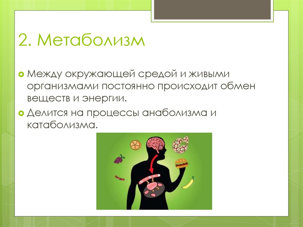 Основные признаки жизни - презентация онлайн