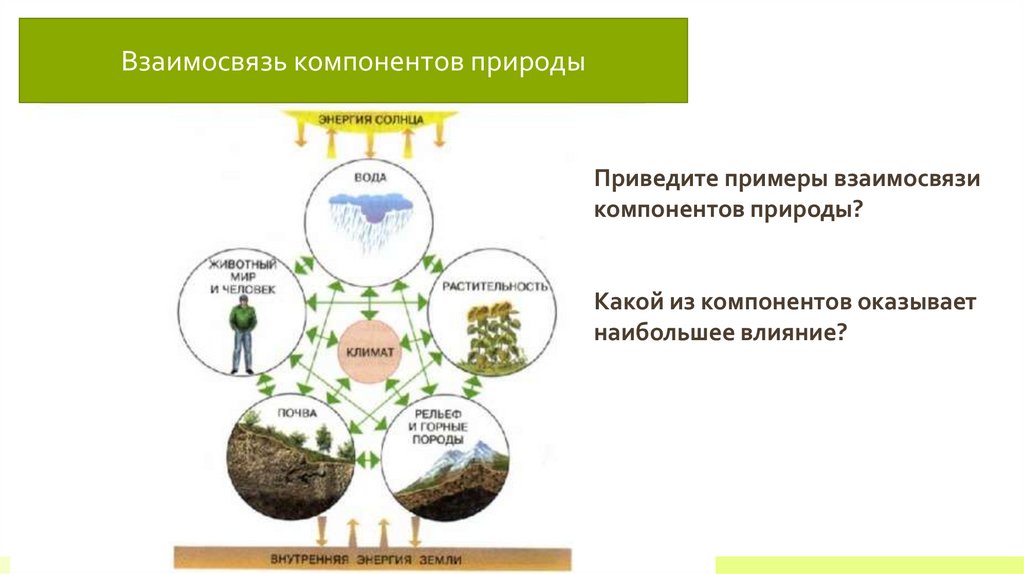 Примеры взаимосвязи компонентов природа человек общество