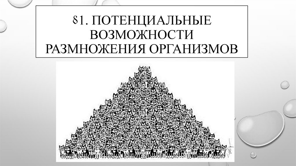 Возможно возможность. Потенциальные возможности размножения организмов конспект. Потенциальные возможности размножения организмов экология. Потенциальные возможности размножения организмов экология кратко. Потенциальные возможности это.