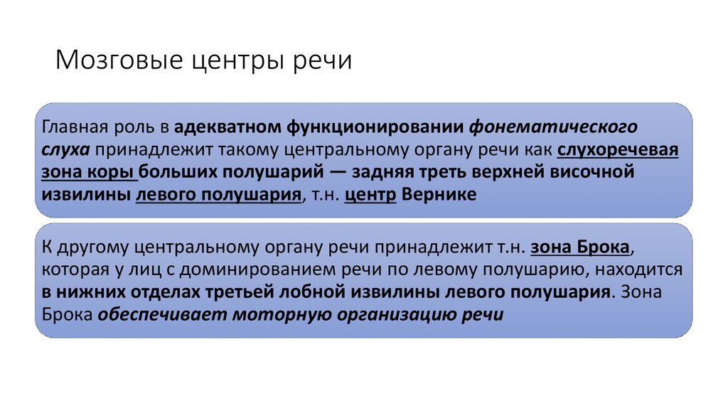 Мозговые центры речи презентация