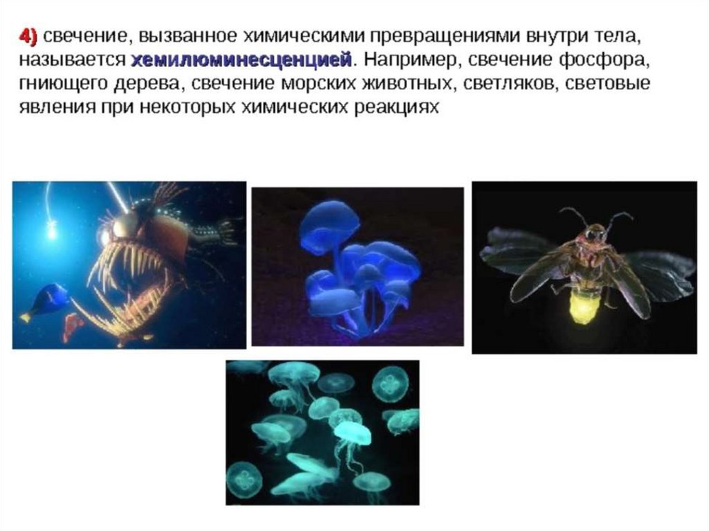 Хемилюминесценция презентация по физике