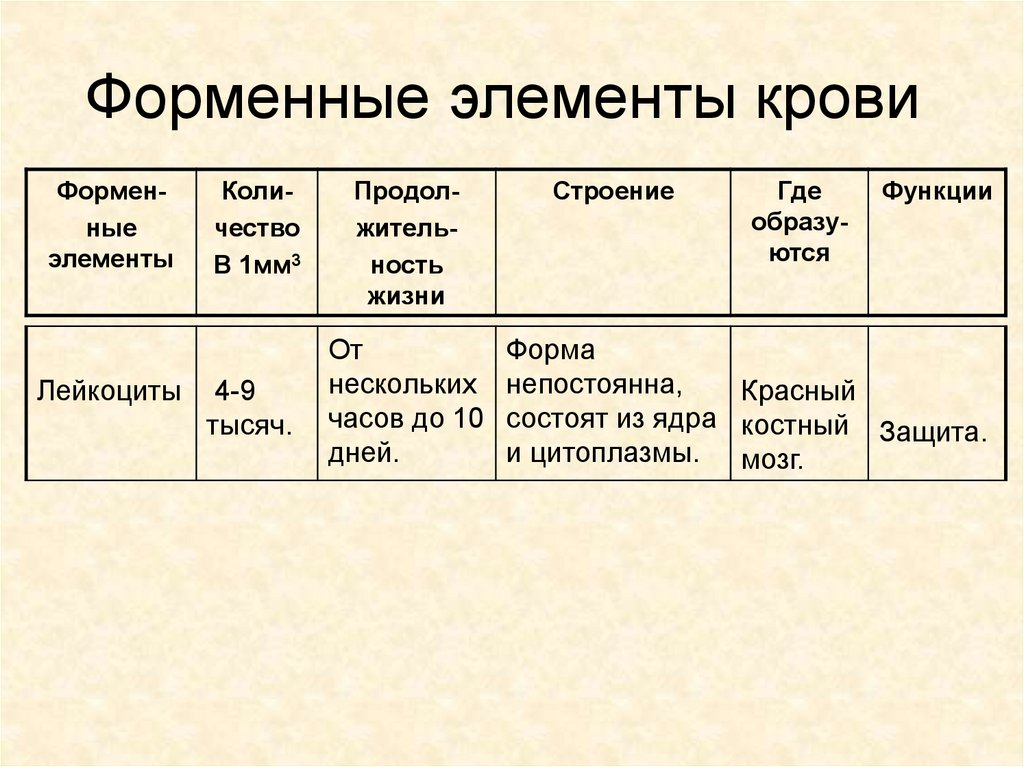 Форменные элементы крови презентация анатомия