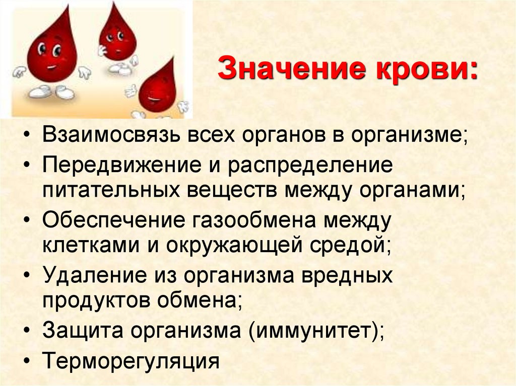 Почему нравится кровь. Значение крови. Значение крови для организма. В чем значение крови для организма человека.