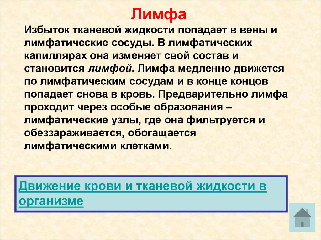 Лимфа тканевая