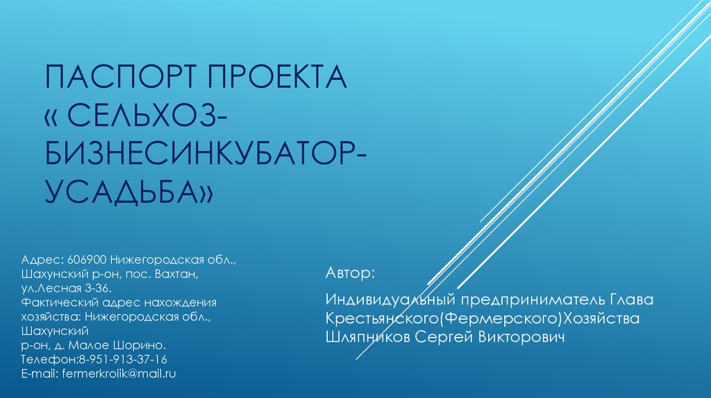 Индивидуальный автор. Паспорт для презентации. Что такое паспорт доклада. Реферат по паспорту проекта. Сельхоз проекты 1 человек ГЭОТАР обслуживает.