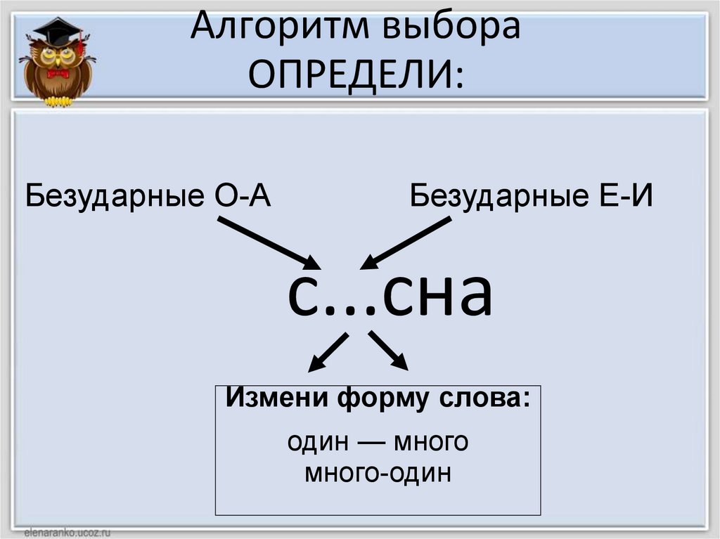 Алгоритм выбора ОПРЕДЕЛИ: