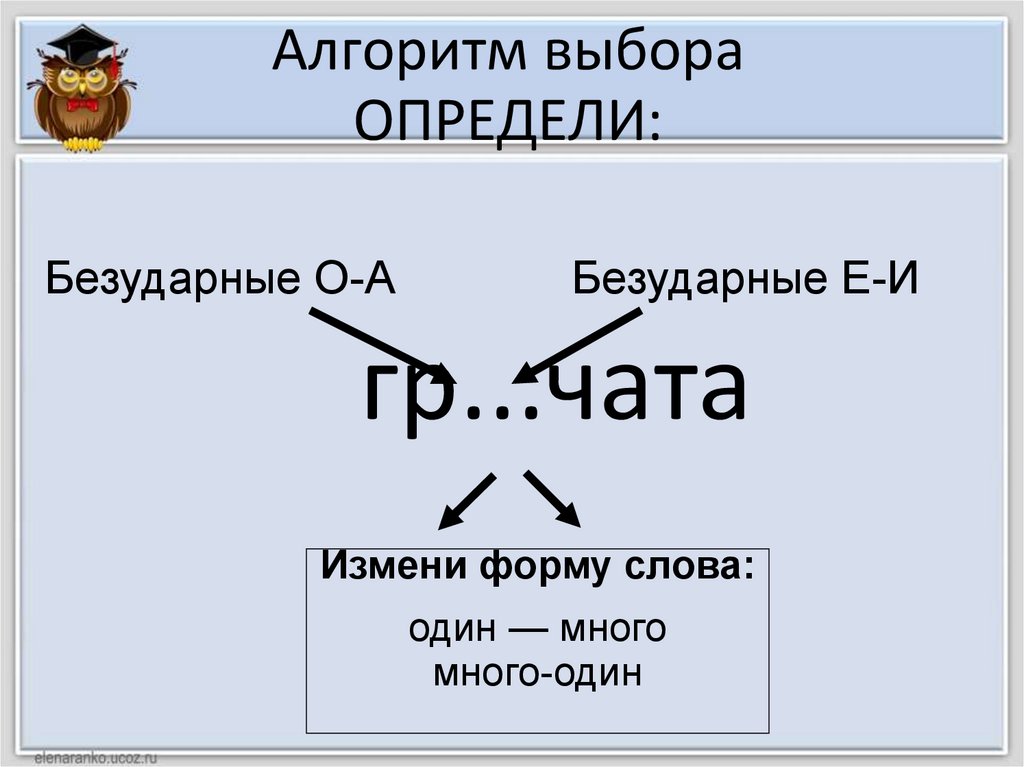 Алгоритм выборов